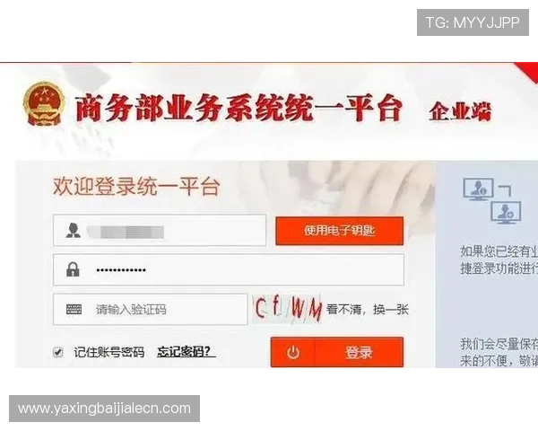博鱼真人平台会员登录账号忘记怎么办,详细找回密码流程全攻略